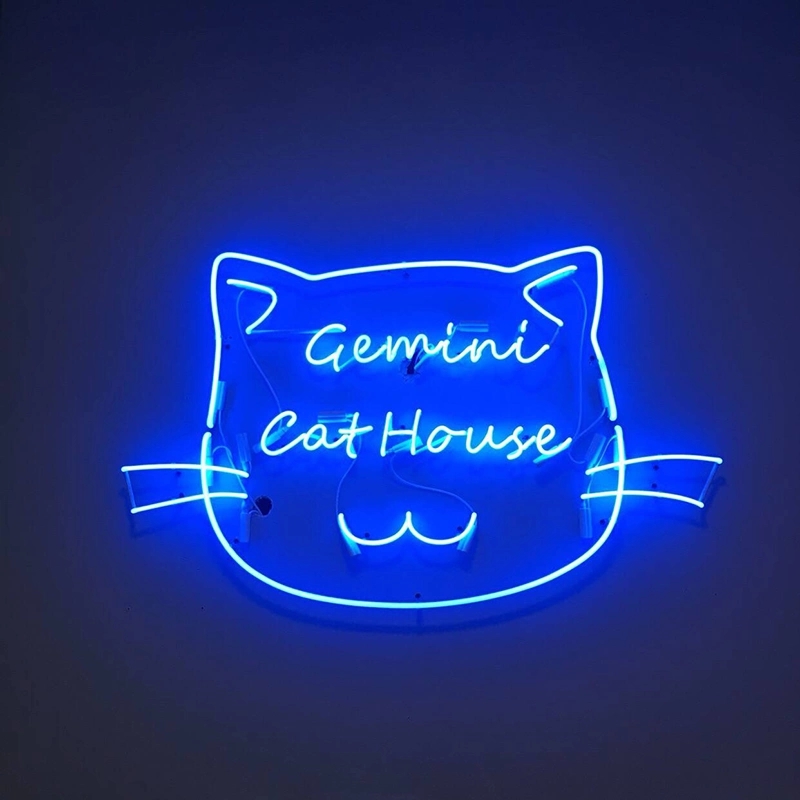 Custom Shaped Neon Lights - Y SIGNS LED custom sign